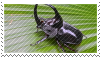 beetle stamp