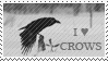 crow stamp